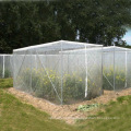 UV Protection Anti Bee Net (ABN065)